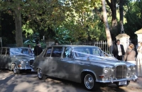 Daimler Limousine Wedding Car Hire Adelaide Carrington Wedding Cars